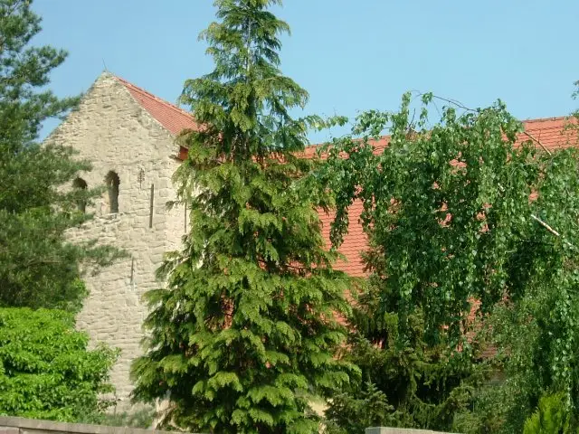 Wörmlitzer Kirche St. Petrus – Foto 7 von 15