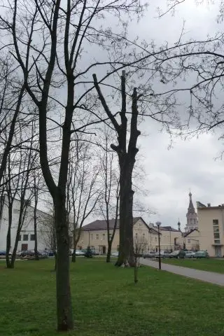 Besuch in Grodno, 2012 – Foto 41 von 208