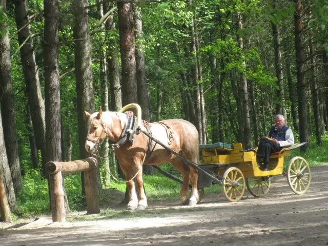 Reise ins Baltikum, 2008 – Foto 50 von 197