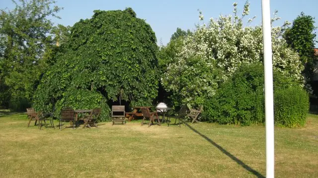 Junge Gemeinde in Ahus / Schweden, 2010 – Foto 67 von 154